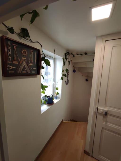 Chaleureuse Maison De Ville Avec Parking Gratuit Шинон Екстериор снимка